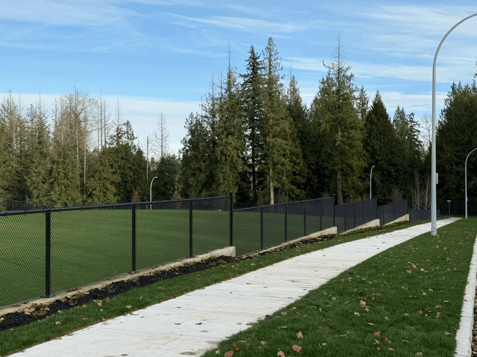 Black chain-link sports-field perimeter; LS project in Langley.