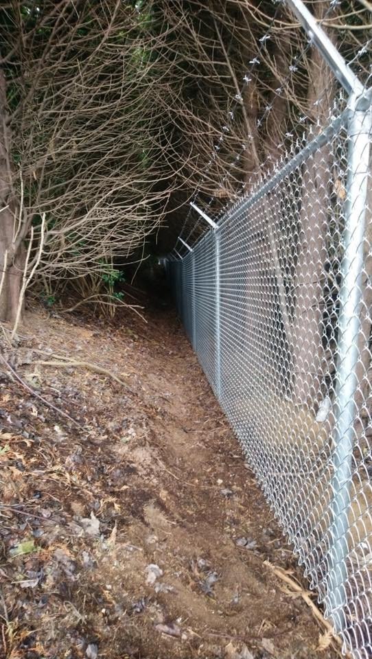 Galvanized chain link along a treed line; LS project in Abbotsford.